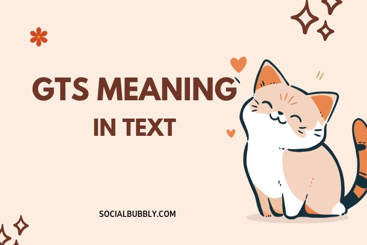 GTS Meaning in Text