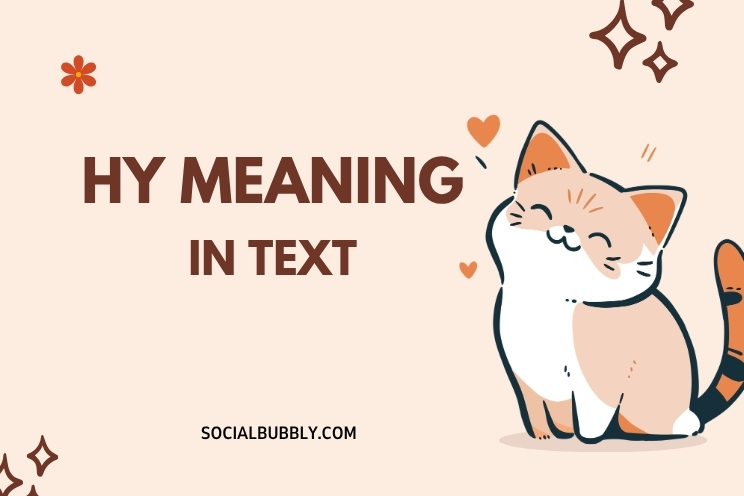 HY Meaning in Text