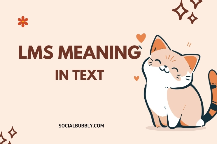 lms Meaning in Text